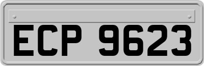 ECP9623