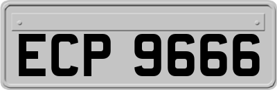 ECP9666