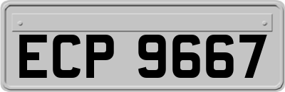 ECP9667