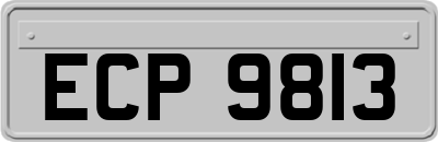 ECP9813