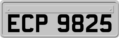 ECP9825