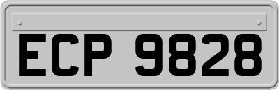 ECP9828