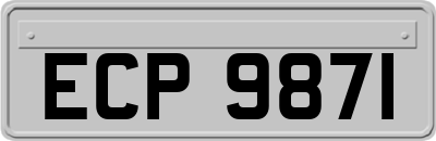 ECP9871