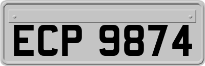 ECP9874