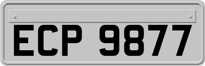 ECP9877