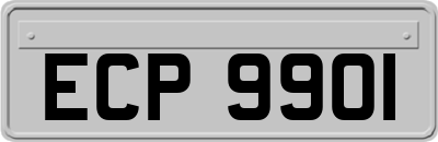ECP9901