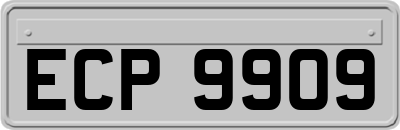ECP9909