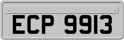 ECP9913