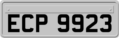 ECP9923