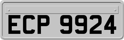 ECP9924