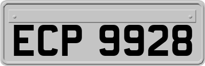 ECP9928