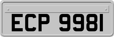 ECP9981