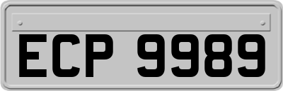 ECP9989