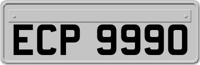 ECP9990