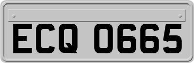 ECQ0665