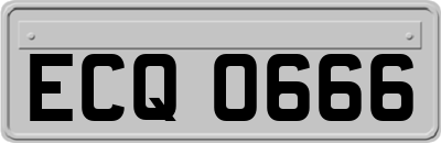 ECQ0666
