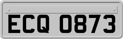 ECQ0873