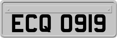 ECQ0919