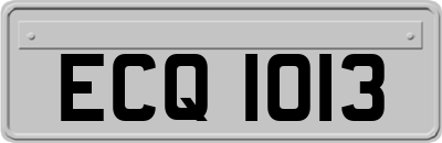 ECQ1013