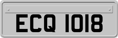 ECQ1018