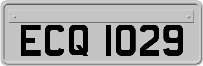 ECQ1029