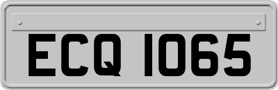 ECQ1065