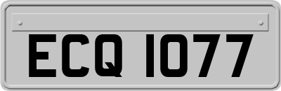 ECQ1077