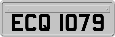 ECQ1079