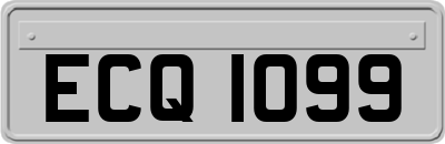 ECQ1099