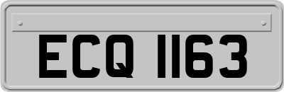ECQ1163