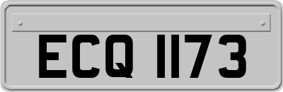 ECQ1173