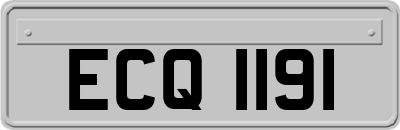 ECQ1191