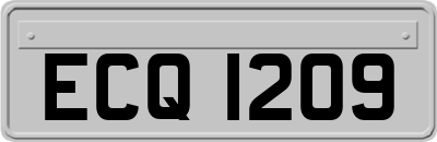 ECQ1209