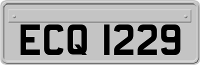 ECQ1229
