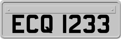 ECQ1233