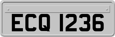 ECQ1236