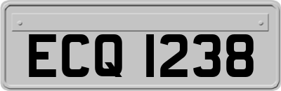 ECQ1238