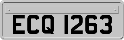 ECQ1263
