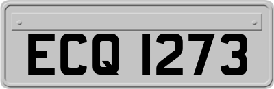 ECQ1273