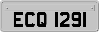 ECQ1291