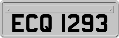 ECQ1293