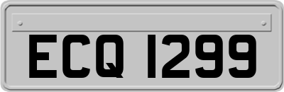 ECQ1299