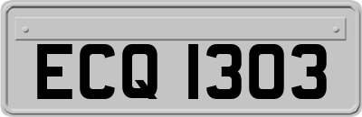 ECQ1303