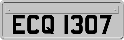 ECQ1307