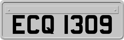 ECQ1309