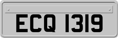 ECQ1319
