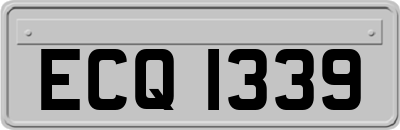 ECQ1339