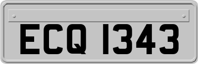 ECQ1343
