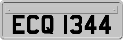 ECQ1344