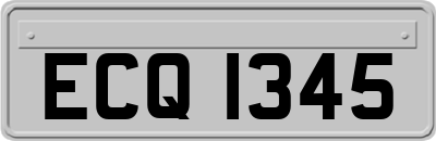 ECQ1345
